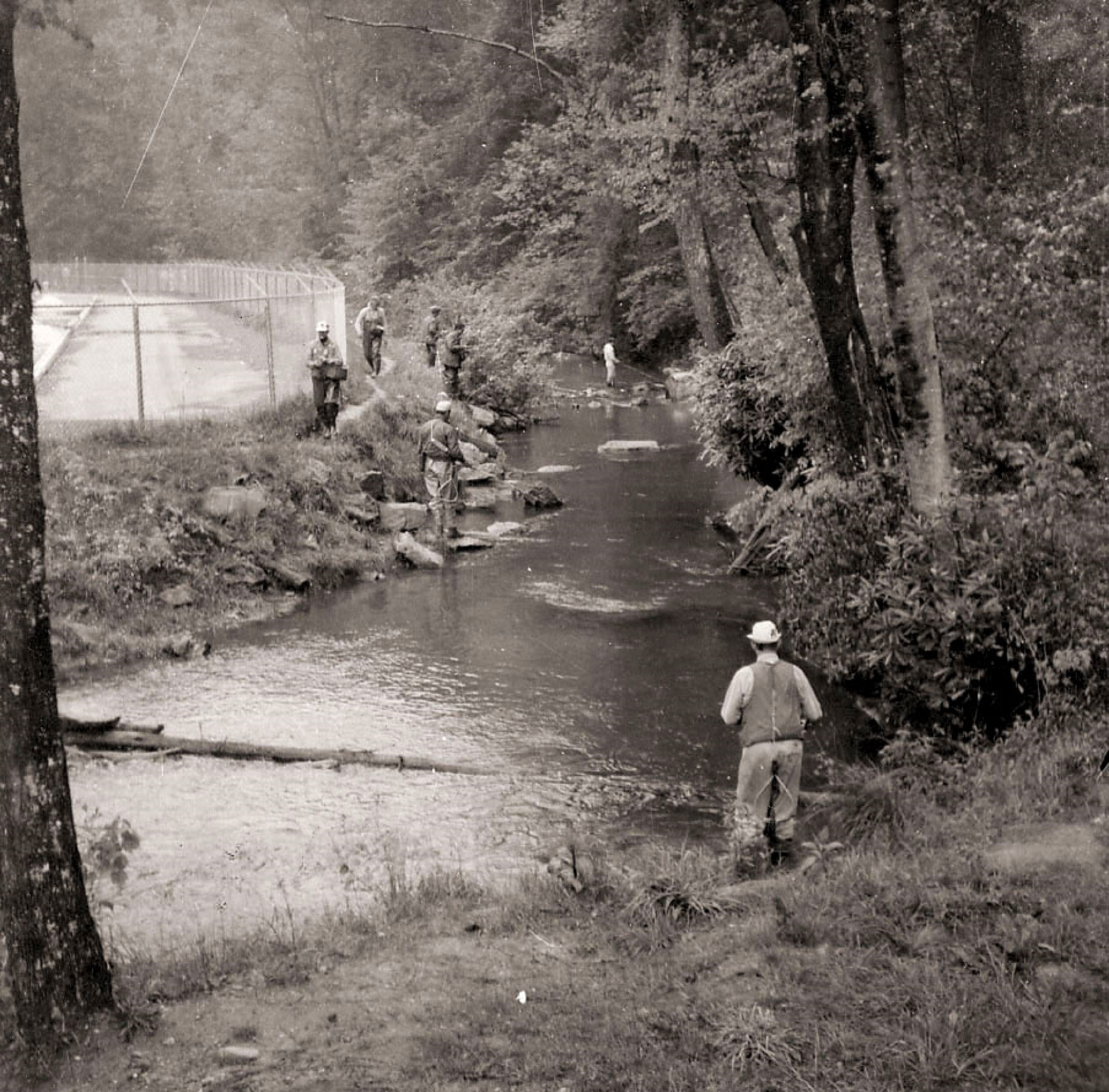 Historic fishing in Rock Creek at Chattahoochee Forest National Fish